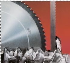 Carbide-Tipped Saw Blades (카바이드 팁 원형톱날)