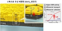 세계 최고 수준의 태양광-수소 생산용 전극 소재기술 개발