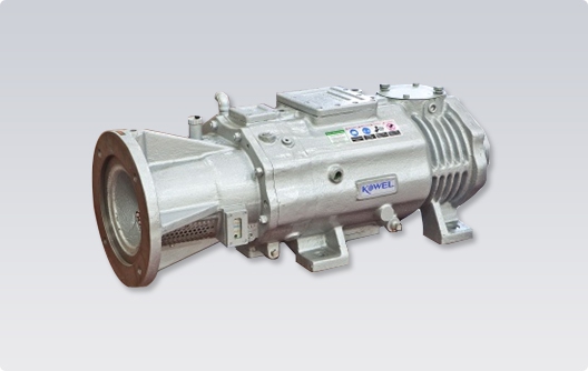 Dry Vacuum Pump