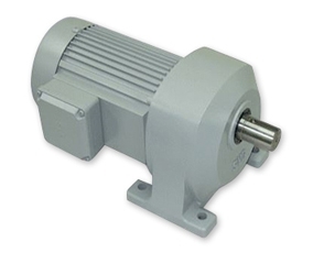 Max 2 Geared Motor