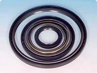 NOK (OIL SEAL)