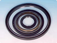 NOK (OIL SEAL)
