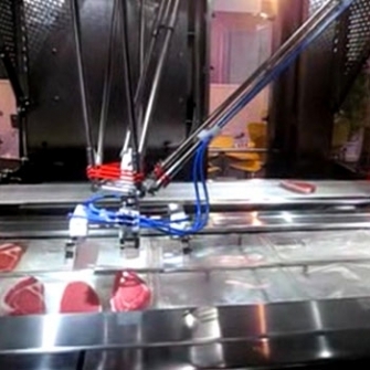 Delta Robot