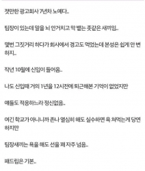 신입사원의 패기