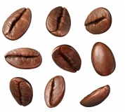 커피원두의 종류와 특징 나의 입맛을 사로잡는 원두를 찾아서