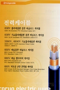 전력케이블