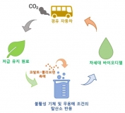 저급 유지를 바이오디젤로 전환하는 경제적인 촉매