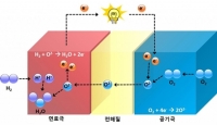 자리 교체로 고성능 연료전지 전극 만든다