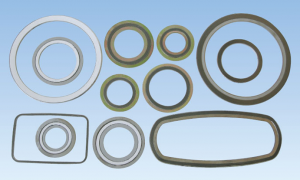 SPIRAL WOUND GASKET