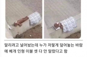 너무 귀여운 방해