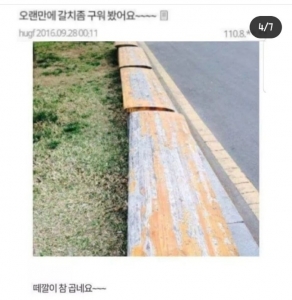 오랜만에 갈치 좀 구워봤어요