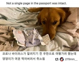 코로나 예방법