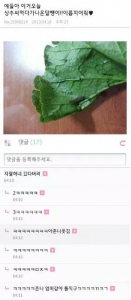 상추 싸먹다가 나온 달팽이 이름 지어줘