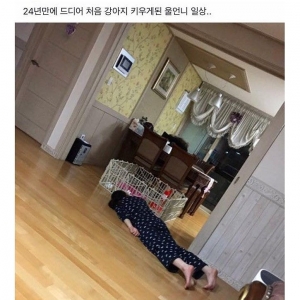 강아지를 처음 키워 본 언니