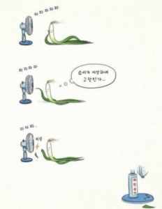 파손주의