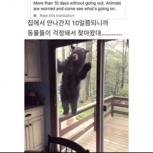 집에서 안나간지 10일쯤 되니까