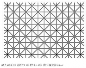 신기한 착시현상