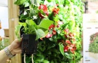 에이치엘비파워(주), 친환경 수직정원 ‘퓨어그린(FUREGREEN)’ 공개