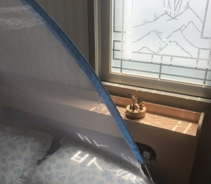오늘 일어나서 햇님한테 욕 먹음