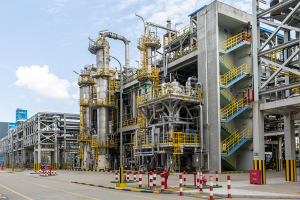 바스프, 중국 시노펙과 NPG 생산능력 확대