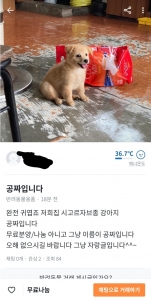 공짜입니다