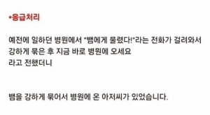 응급처리