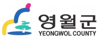 영월군, 군민의 날 밤 '드론 라이트쇼' 공연