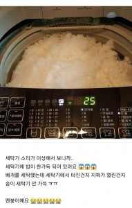 세탁기에 밥 했어요