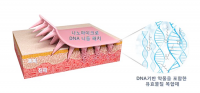한국기계연구원, DNA 니들패치·스마트 로봇의족 "올해의 10대 기계기술 선정"