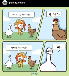 포항시 코로나 마스크 관련 인스타그램