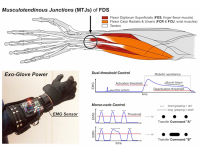 서울대 연구팀의 단일센서 이용한 악력 증강 장갑, "실용적 착용형 로봇 개발 기여"