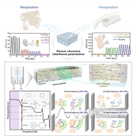 헬스케어용 초고감도 호흡 및 피부 비접촉 센서 개발됐다