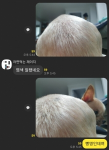 염색 잘 됐네요