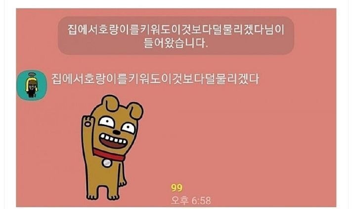 주식 단톡방에 나타난 대화명