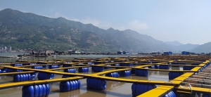 바스프 광안정제 티누빈, 양식어업용 플라스틱 수상구조물 내구성 향상에 탁월