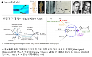 산업용 비전검사 AI Software, 시작에서 상용화까지