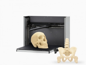 M3PD L1 Bone