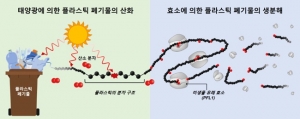 KIST, 폴리에틸렌 생분해 효소 개발로 플라스틱 순환경제 실현 앞당긴다