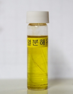 한국에너지연구원, 열 순환으로 열분해유 대량생산 공정기술 개발