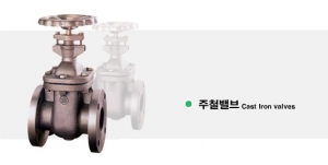 주철밸브