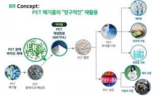 경북대학교, 산업 조건에서 PET 플라스틱을 분해하는 세계 최고 성능의 바이오촉매 개발