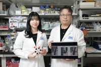 KAIST, 폴리페놀 탄닌산 탈모 완화 기능 입증