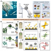 성균관대학교, ‘도깨비풀’ 원리 적용한 나노플라스틱 범용 센서 개발