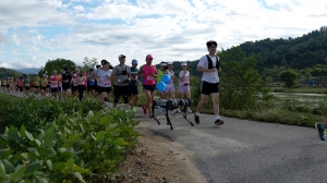 카이스트, 로봇 창업 생태계 확산 - 뉴스 썸네일 이미지