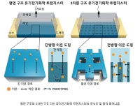 포항공과기술대학교, 초고속 신경 신호 측정 성공