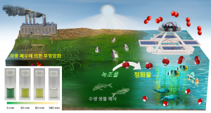 한국과학기술연구원, 빛으로 녹조 제거하는 자율 수상 로봇 개발