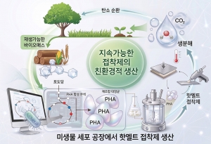 카이스트, 대장균 세포공장으로 PHA 계열 고분자 생산