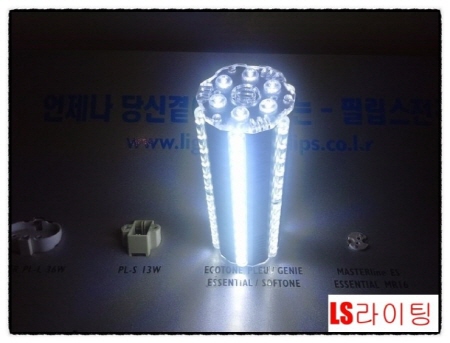 LED정원등