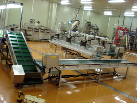 식품용콘베어라인