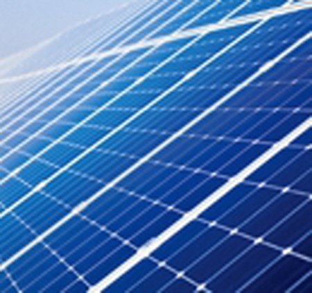 PET 마스터 배치